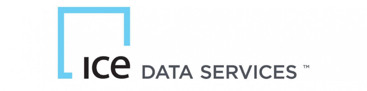 ICE Data Services logo